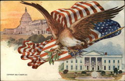 Eagle and American Flag, White House and Capitol Postcard