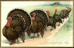 Thanksgiving Day Postcard