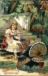 Thanksgiving Greetings Postcard