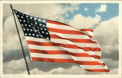 Old Glory Postcard