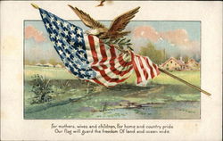 A US Flag and a Bird Postcard