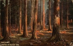 Harz Mountains Postcard