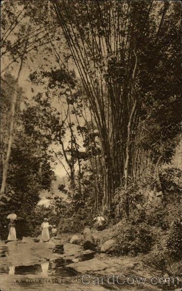 River Scene Trinidad Caribbean Islands