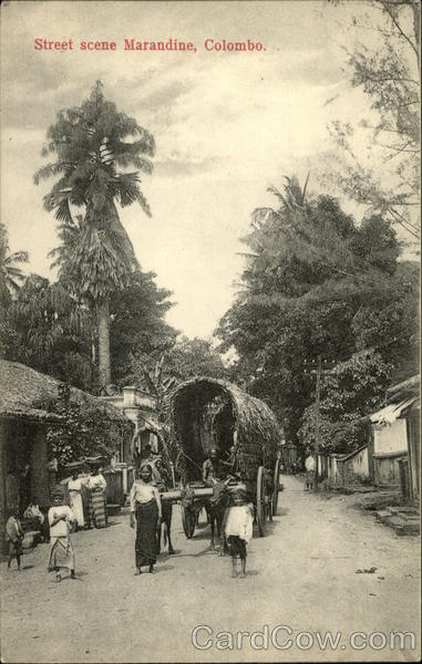 Street Scene in Maradine Colombo Sri Lanka Southeast Asia