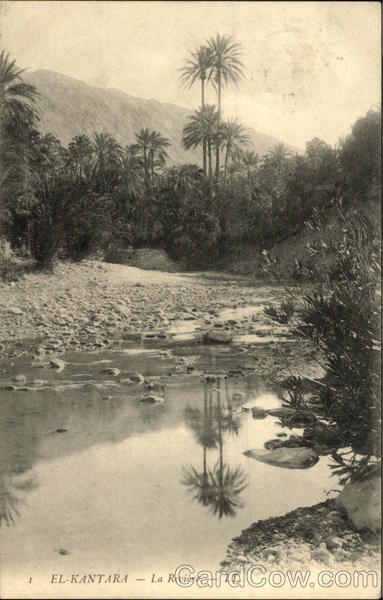 1 El-Kantara - La Rivière El Kantara Algeria Africa