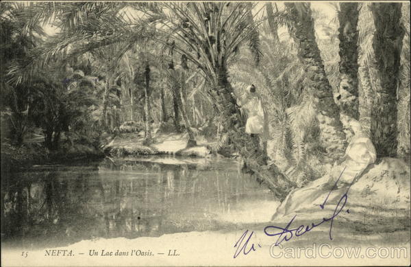 Un Lac dans l'Oasis Nefta Tunisia Africa
