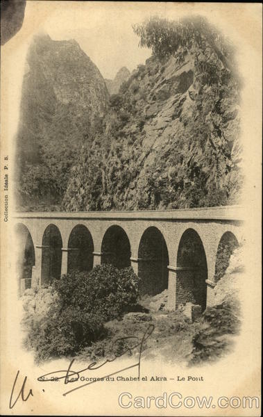 N°22 - Les Gorges du Chabet el Akra - Le Pont Algeria