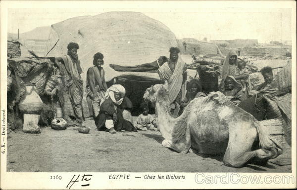 Chez Les bicharis, Egypte Africa