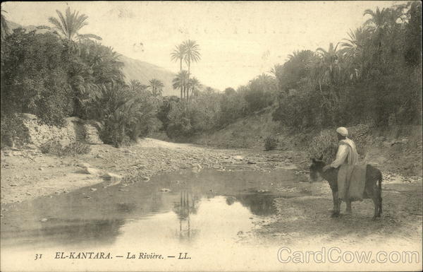 The River El-Kantara Algeria Africa