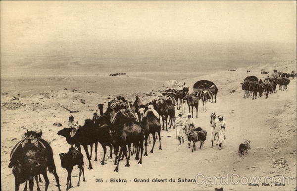 205 - Grand désert du Sahara Biskra Algeria Africa