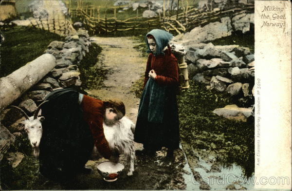 Milking the Goat Norway