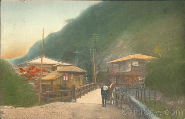 Asian bridge, landscape China