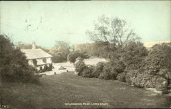 Sparrow's Nest Postcard