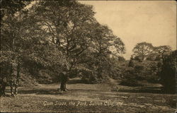 Gum Slade, The Park Postcard