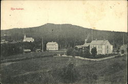 Bjerkaker Postcard