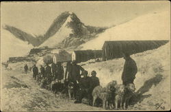 Stock #389790 Thumbnail