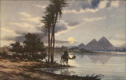 Moonlight near Pyramids Postcard
