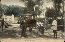 Hackney Carriage Postcard