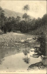 1 El-Kantara - La Rivière Postcard