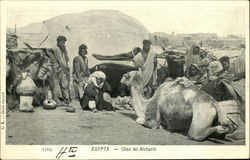 Chez Les bicharis, Egypte Postcard