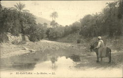 The River Postcard