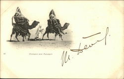 Chameaux avec Palanquin Postcard