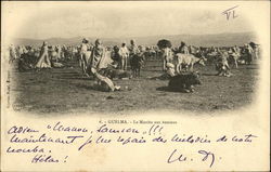 Le Marche des Bestiaux Guelma, Algeria Africa Postcard Postcard