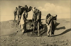 Camel Drivers in the Desert Postcard