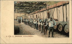 Borracheiros Postcard