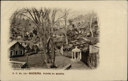 Fonte du Monte Postcard