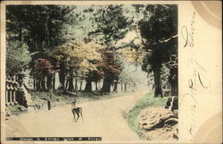 377 Entrance to Kasuga Temple at Nara Postcard