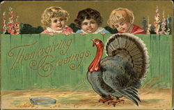 Three girls looking at turkey from over a fence Turkeys Postcard Postcard