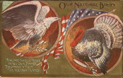 Our National Birds - Bald Eagle and Turkey Postcard