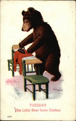 Tuesday This Little Bear Irons Clothes Bears Postcard Postcard