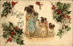 Best Wishes for Christmas with Pug Puppies Postcard