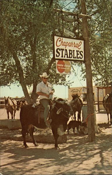 Chapparal Stables El Paso Texas