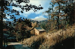 Camp Pisgah Postcard