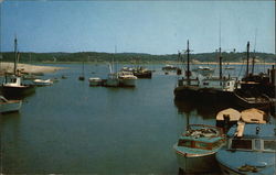 A Variety of Boats at Wellfleet Massachusetts Postcard Postcard