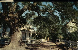 Along the Village Street Ocracoke, NC Postcard Postcard