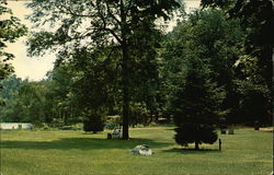 Grace Lord Park Boonton, NJ Postcard Postcard