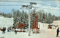 A Section of the Base of Bromley Mountain Peru, VT Postcard Postcard