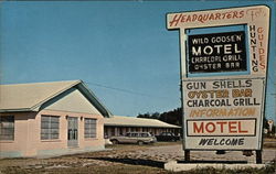 Wild Goose'N Postcard