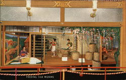 Feeding Silk Worms Exhibit Postcard