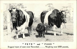 "Pete" and "Punk" Shartlesville, PA Postcard Postcard