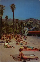 On the Beach at Avalon Santa Catalina Island, CA Postcard Postcard