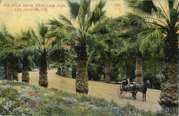 The Palm Drive, Westlake Park Los Angeles California