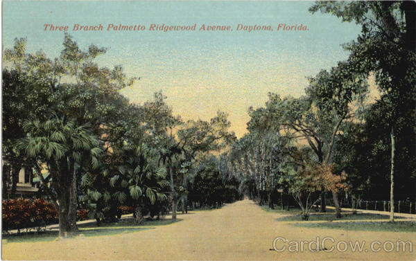 Three Branch Palmetto Ridgewood Avenue Daytona Beach Florida