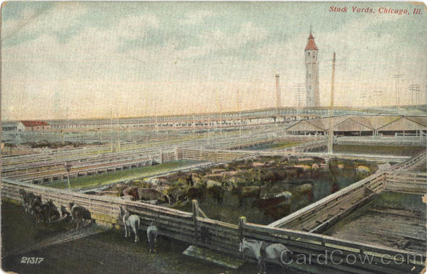 Stock Yards Chicago Illinois