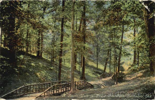 A Rustic Walk In Druid Hill Park Baltimore Maryland