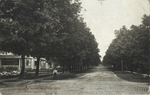 North Main Street Wayland Michigan